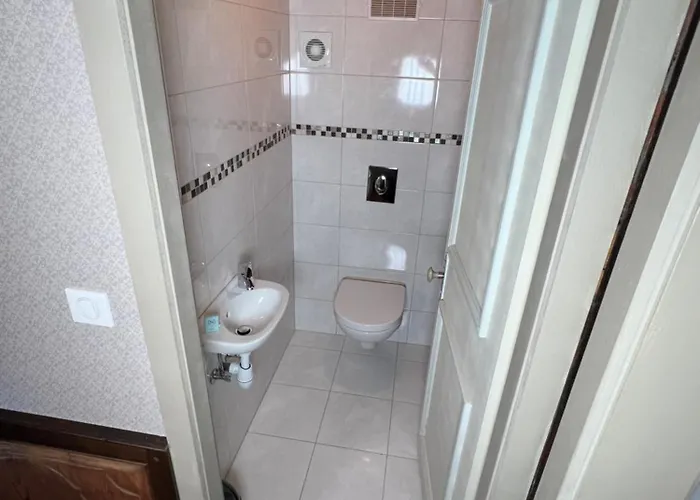 Le Romantique 科尔马